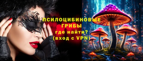 эйфоретик Арсеньев