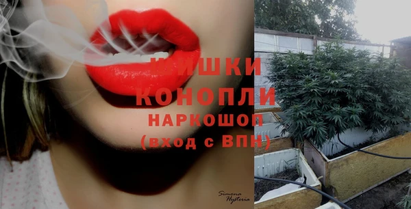 PSILOCYBIN Тихвин